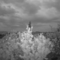 Webcam_20200522-214500