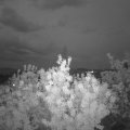 Webcam_20200522-220000