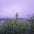Webcam_20200523-053000