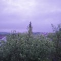Webcam_20200525-051500