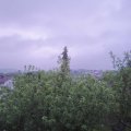 Webcam_20200525-060000
