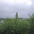 Webcam_20200525-083000