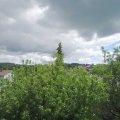 Webcam_20200525-131500