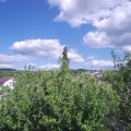 Webcam_20200525-163000