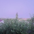 Webcam_20200525-214500