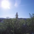 Webcam_20200527-083000