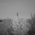Webcam_20200528-220000