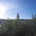 Webcam_20200529-073000