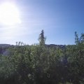 Webcam_20200529-081500