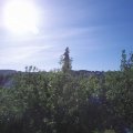 Webcam_20200529-083000