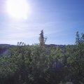 Webcam_20200529-084500