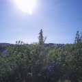 Webcam_20200529-091500