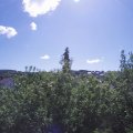 Webcam_20200529-104500