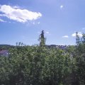 Webcam_20200529-114500