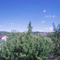 Webcam_20200529-160000