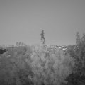 Webcam_20200529-220000
