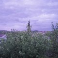 Webcam_20200530-213000