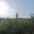 Webcam_20200531-074500