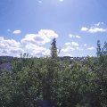 Webcam_20200531-104500