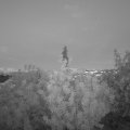 Webcam_20200531-220000