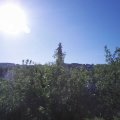 Webcam_20200601-081500