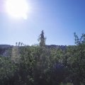 Webcam_20200601-084500