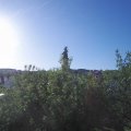 Webcam_20200602-073000