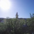 Webcam_20200602-083000