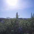 Webcam_20200602-093000