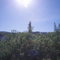 Webcam_20200602-094500