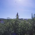 Webcam_20200602-104500