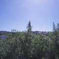 Webcam_20200602-110000