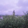 Webcam_20200605-051500