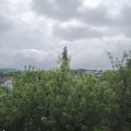 Webcam_20200605-094500