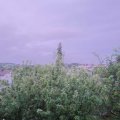 Webcam_20200605-214500