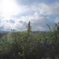 Webcam_20200607-083000