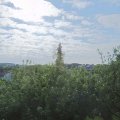 Webcam_20200608-090000