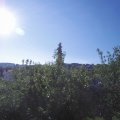 Webcam_20200612-080000