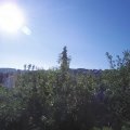 Webcam_20200612-081500