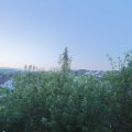 Webcam_20200613-050000