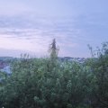 Webcam_20200617-051500
