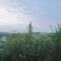 Webcam_20200617-053000