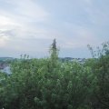 Webcam_20200617-060000