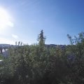 Webcam_20200619-074500