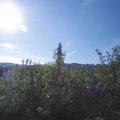 Webcam_20200619-081500