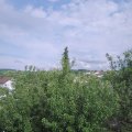 Webcam_20200620-173000