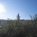 Webcam_20200621-074500