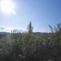 Webcam_20200621-083000