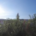 Webcam_20200622-073000