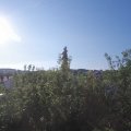 Webcam_20200622-074500
